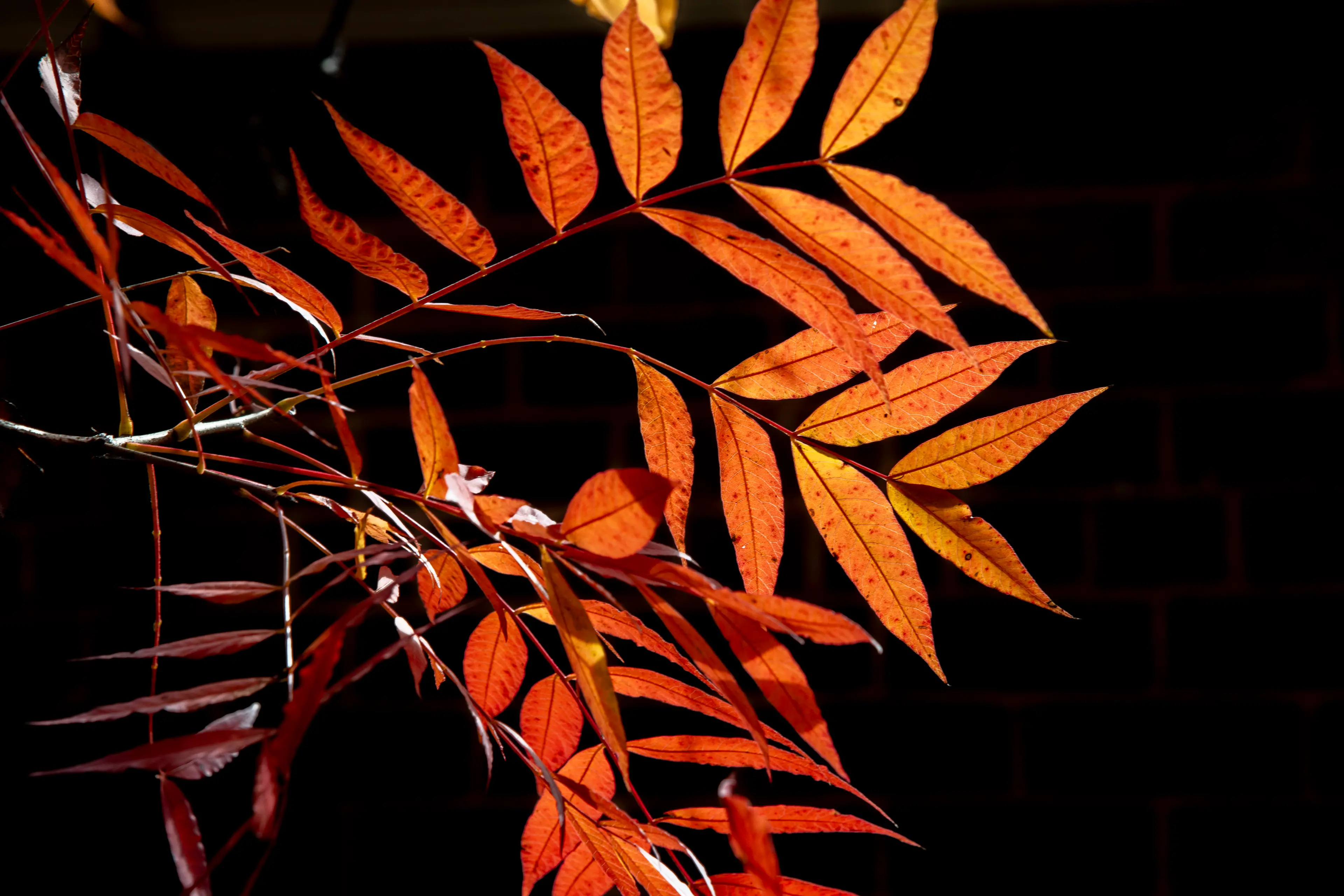 <p>Autumn is behind us as winter sets in</p>\\n