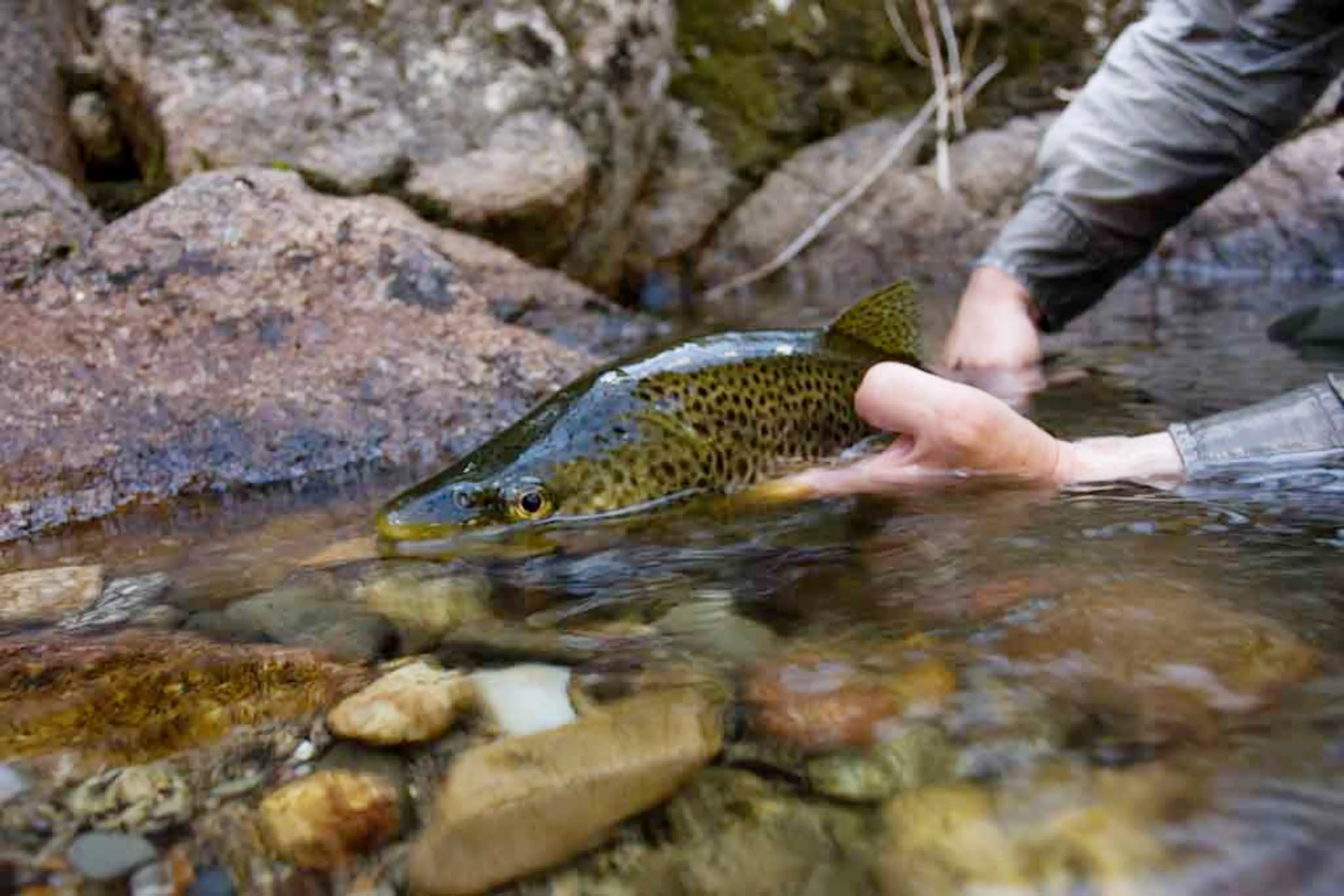 <p>The winter closure will commence on 9 June before reopening from the start of the October long weekend on 3 October. PHOTO: NSW DPIRD</p>\\n