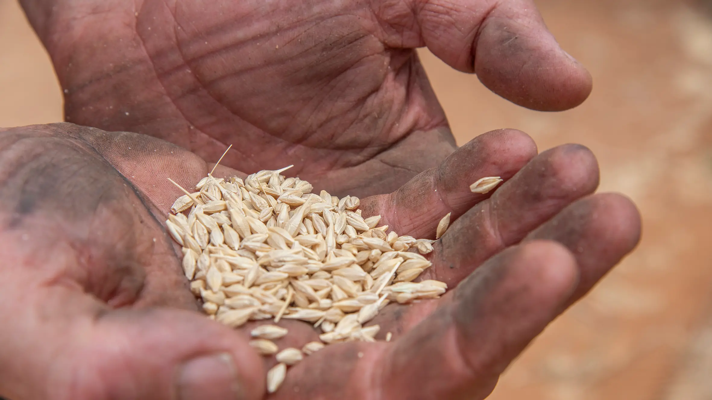 Australia looks to smaller winter crop