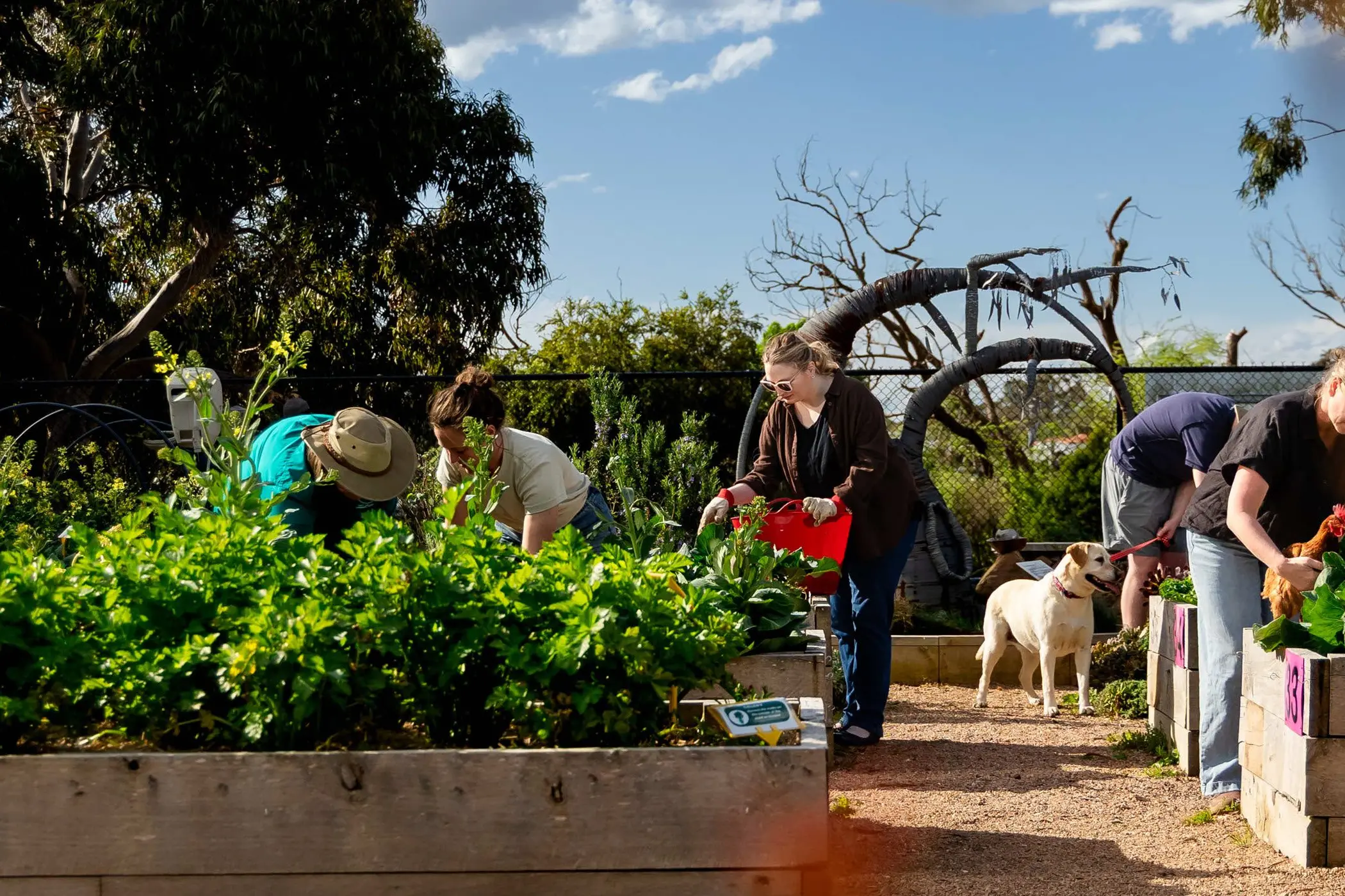 <p>Last year, Australia Post funded 88 projects under the Community Grants Program </p>\\n