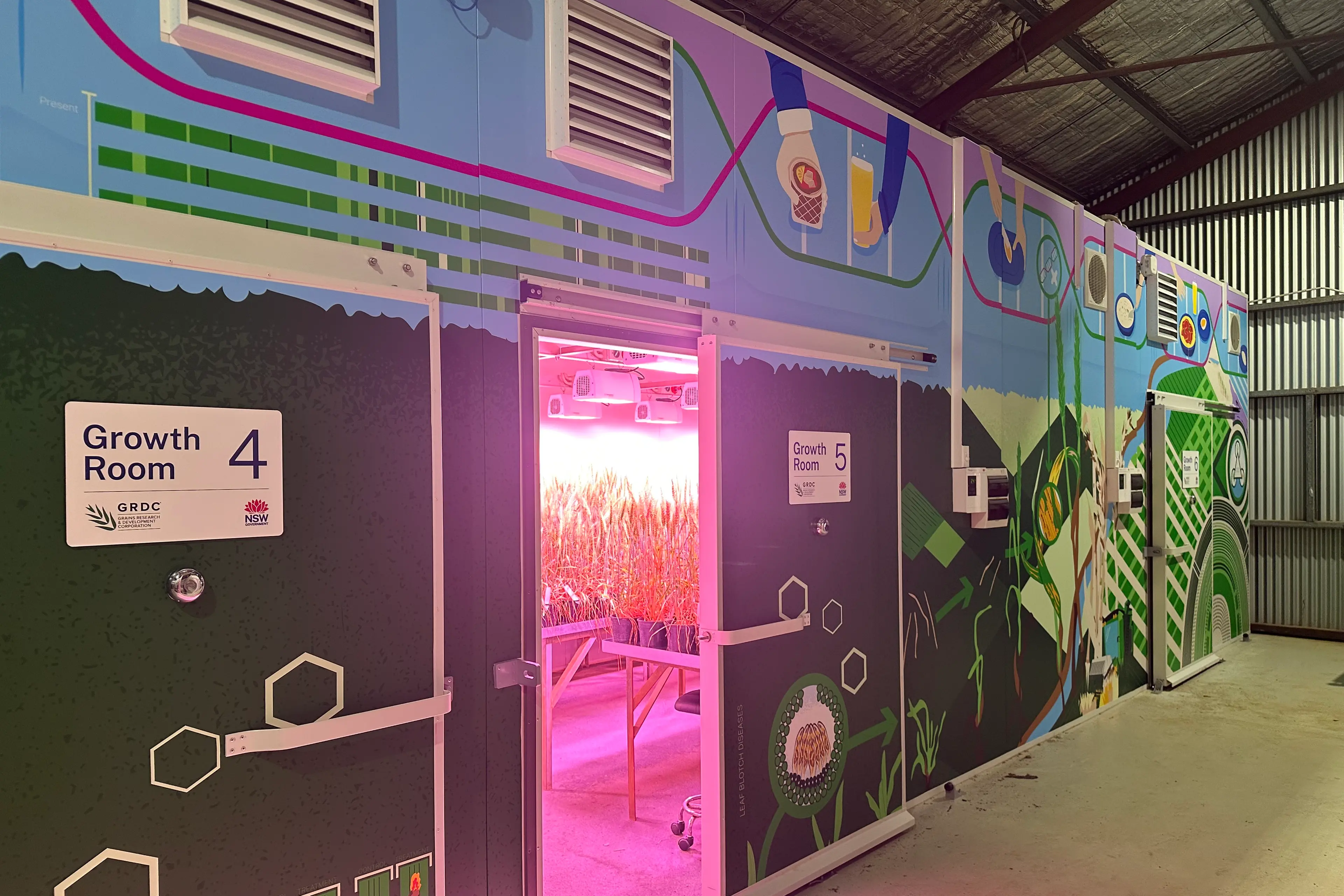 <p>WWAI Plant Pathology Growth Room</p>\\n