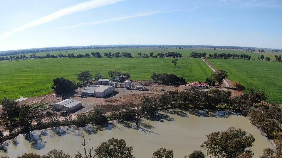 Prime Barmedman farm up for sale
