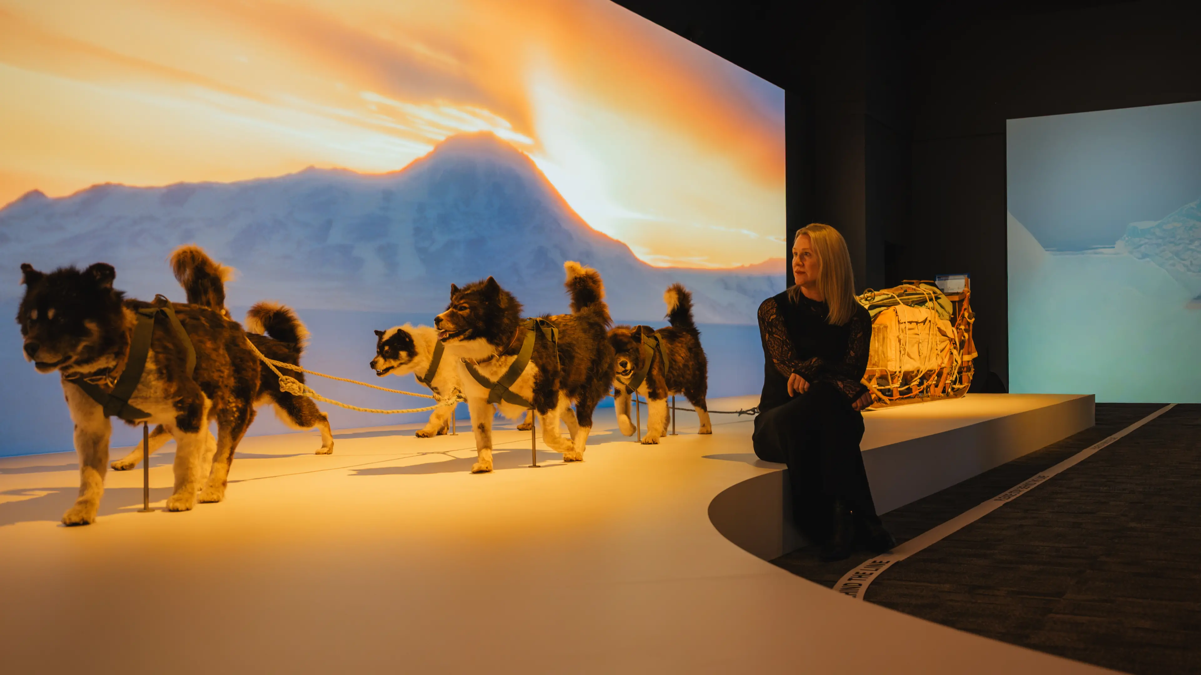 National Museum of Australia’s winter extravaganza Antarctica opens