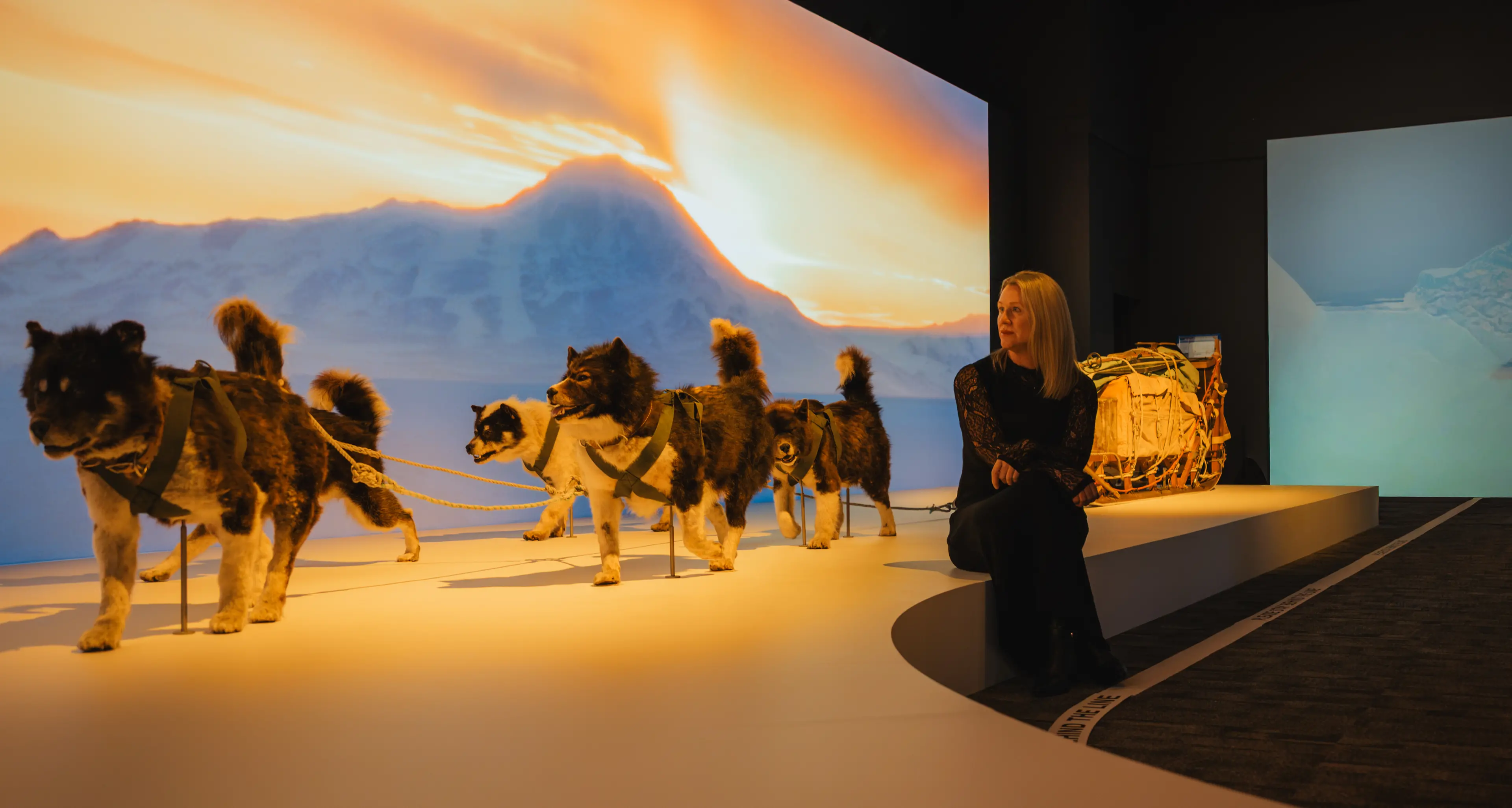 National Museum of Australia’s winter extravaganza Antarctica opens