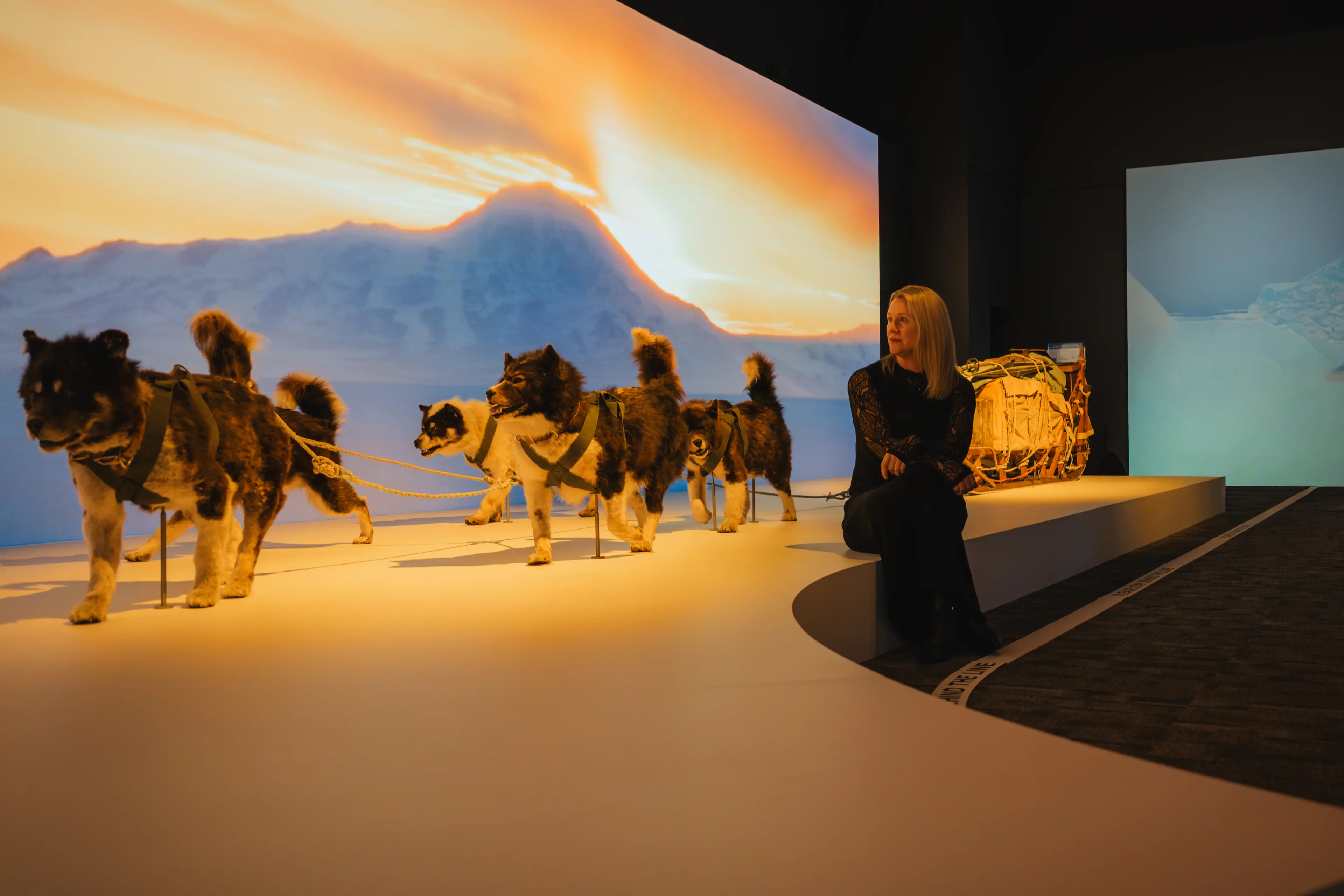 <p>Museum Director Katherine McMahon PHOTO: National Museum of Australia</p>\\n