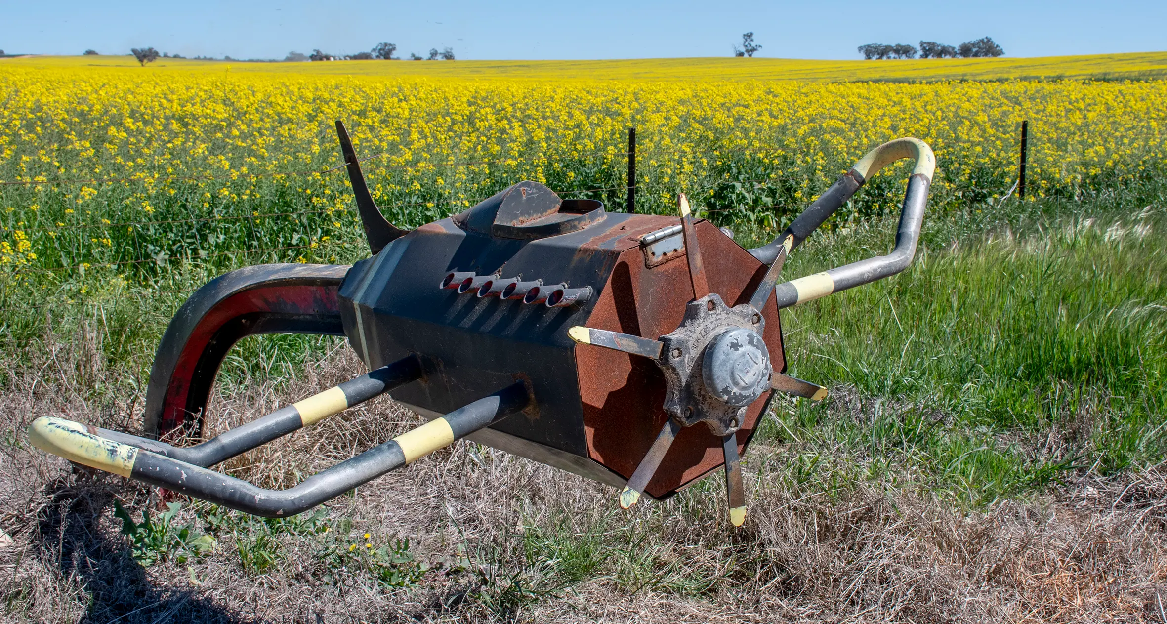 Funding secured for Junee’s new Canola Gateway Festival
