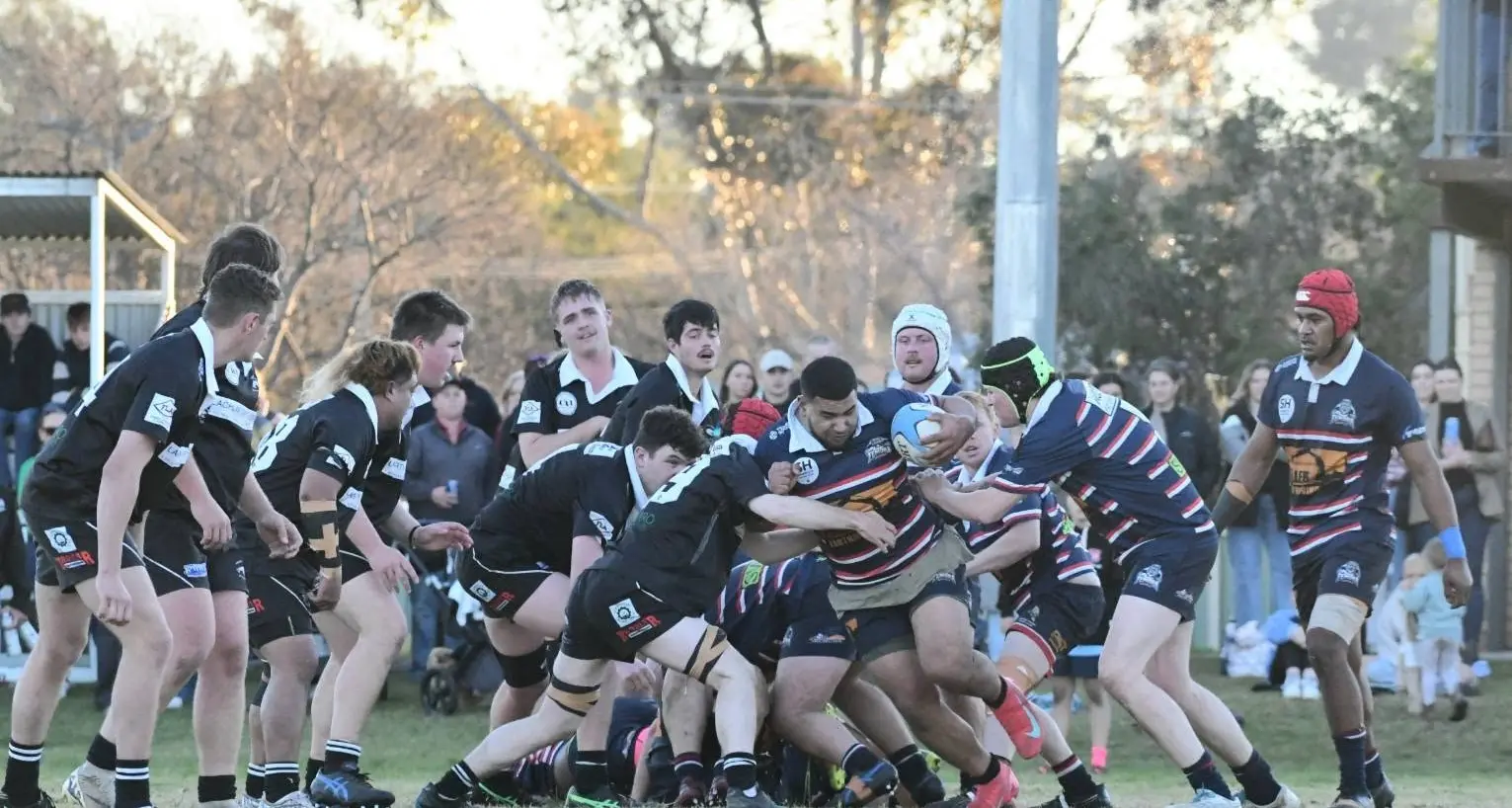 Tuskers lose grip on shield