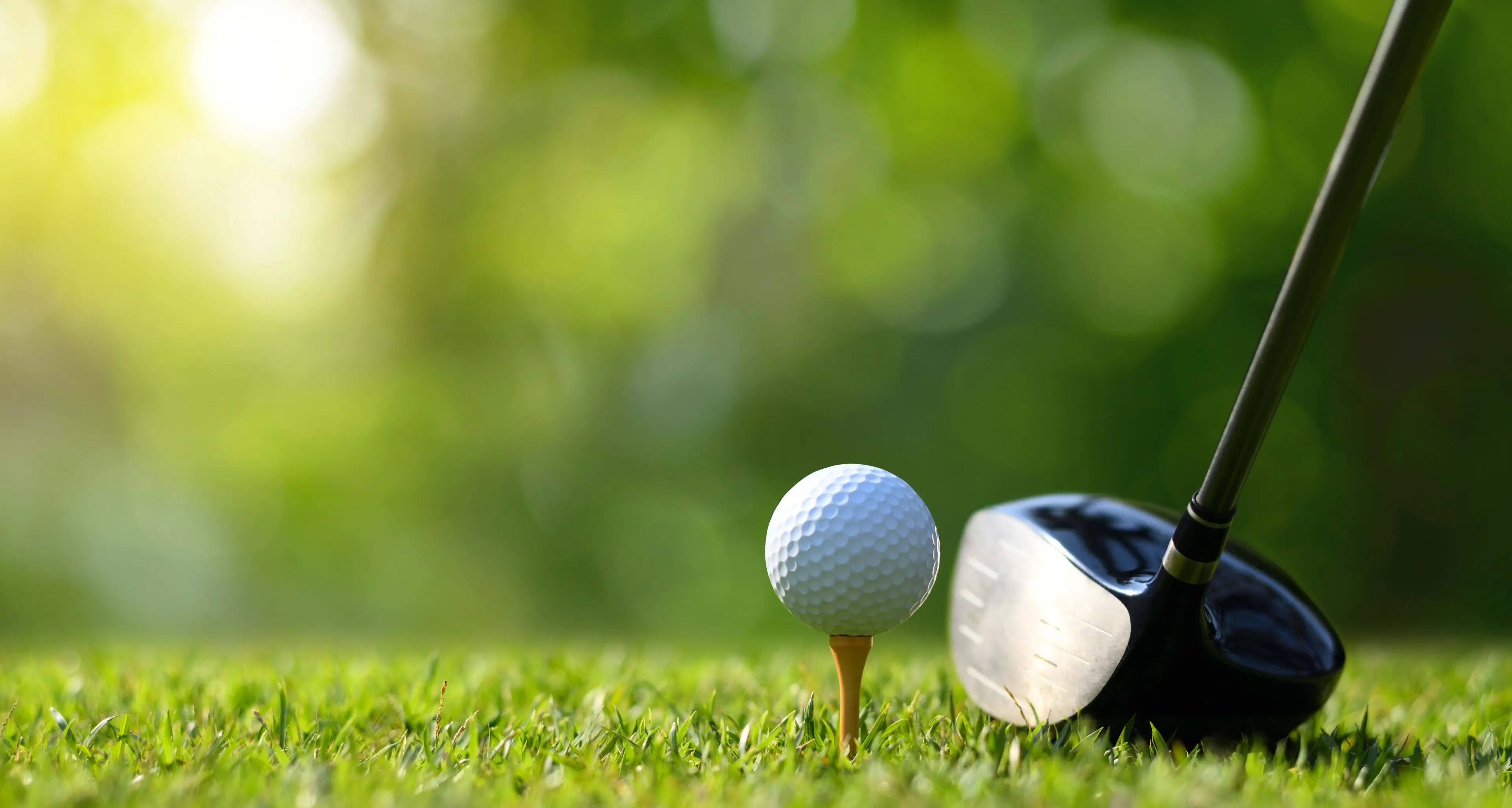 Successful 2026 ladies tournament draws strong field
