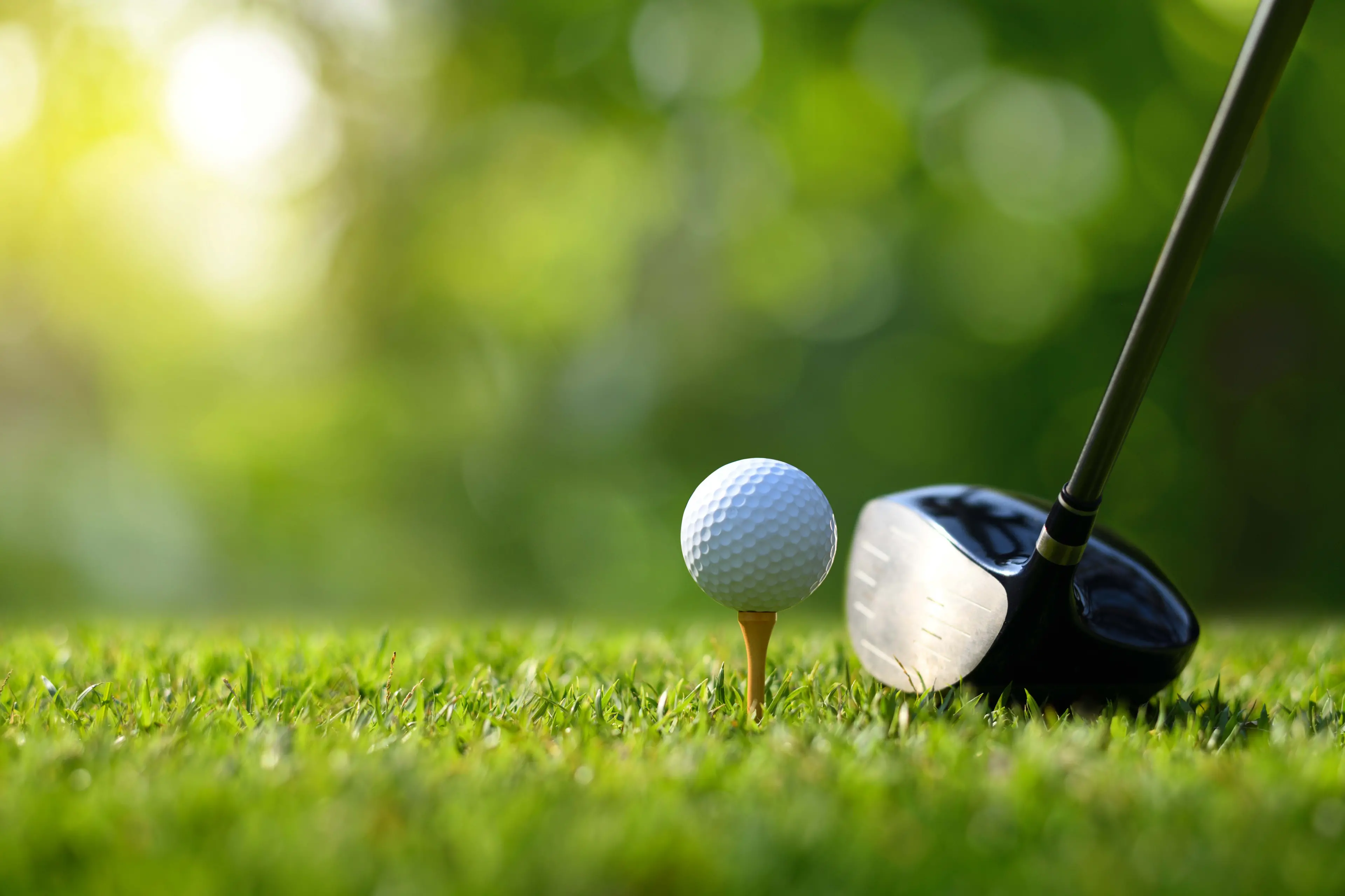<p>Golfers from Merriwa, Weethalle through to Thurgoona participated in the Ladies Golf Tournament last Wednesday.</p>\\n