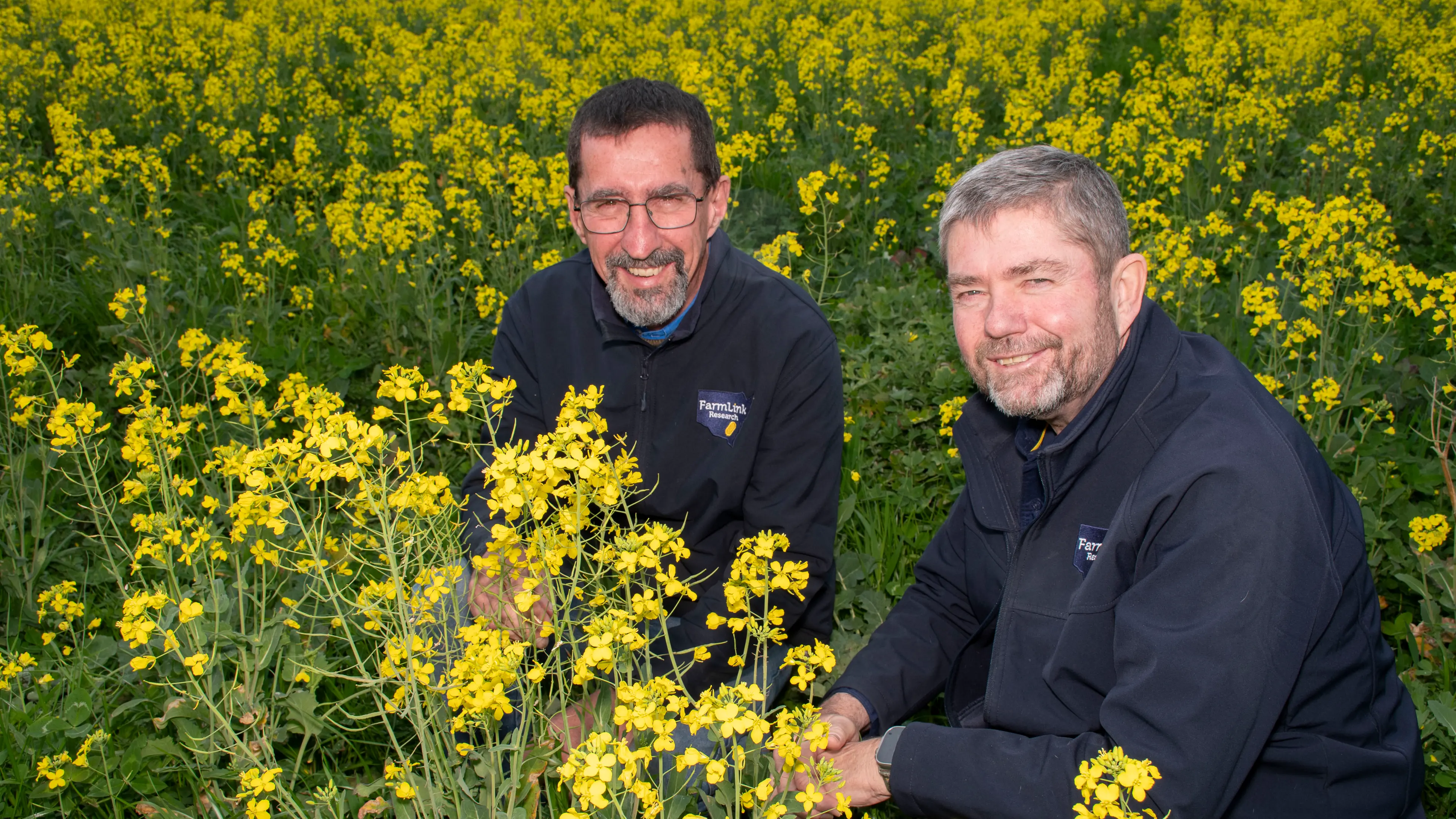 FarmLink Field walks