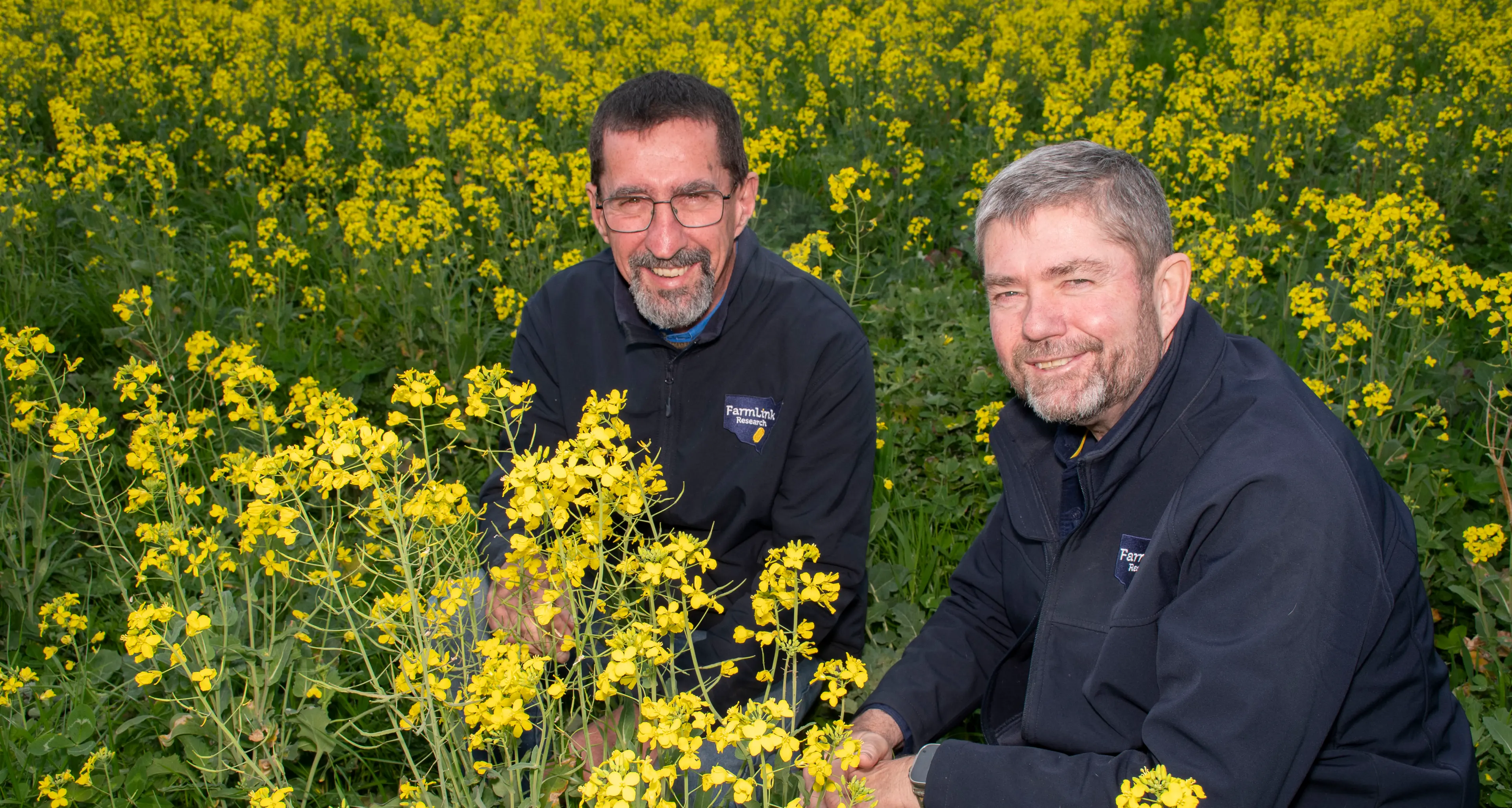 FarmLink Field walks