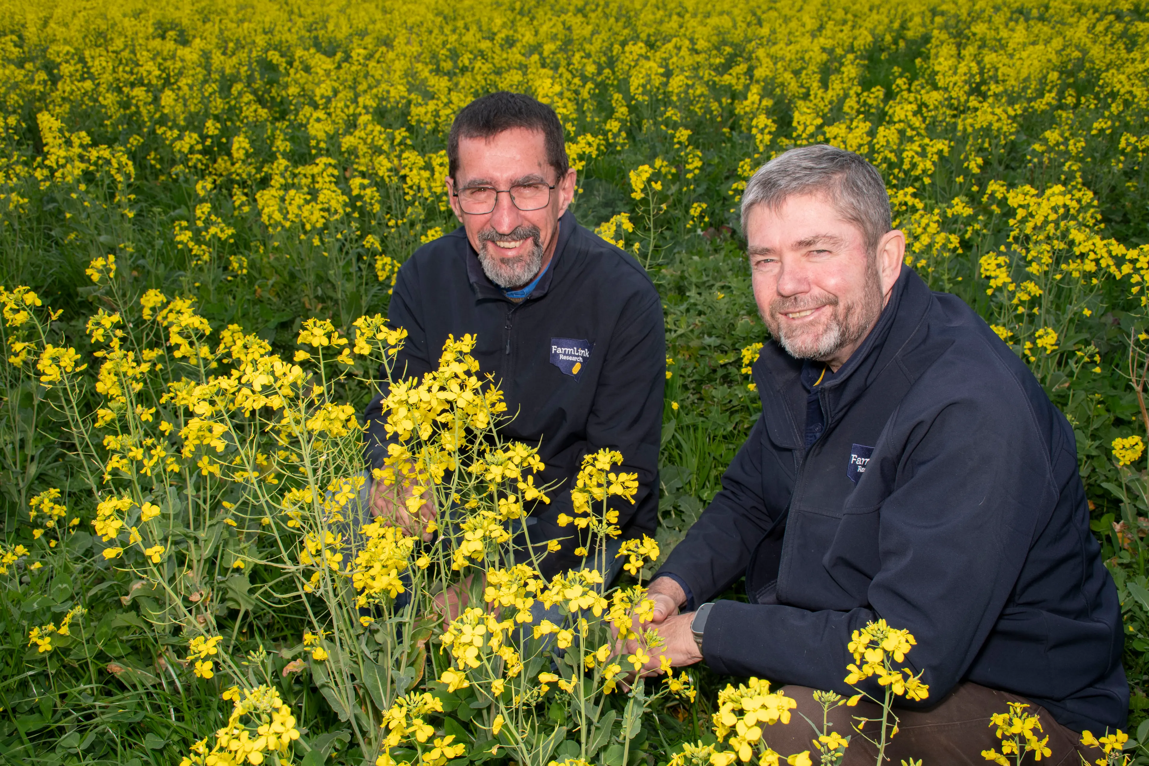 <p>Mark Skewes and Shaughn Morgan with one of the canola trials at FarmLink. PHOTO: Noel Fisher</p>\\n