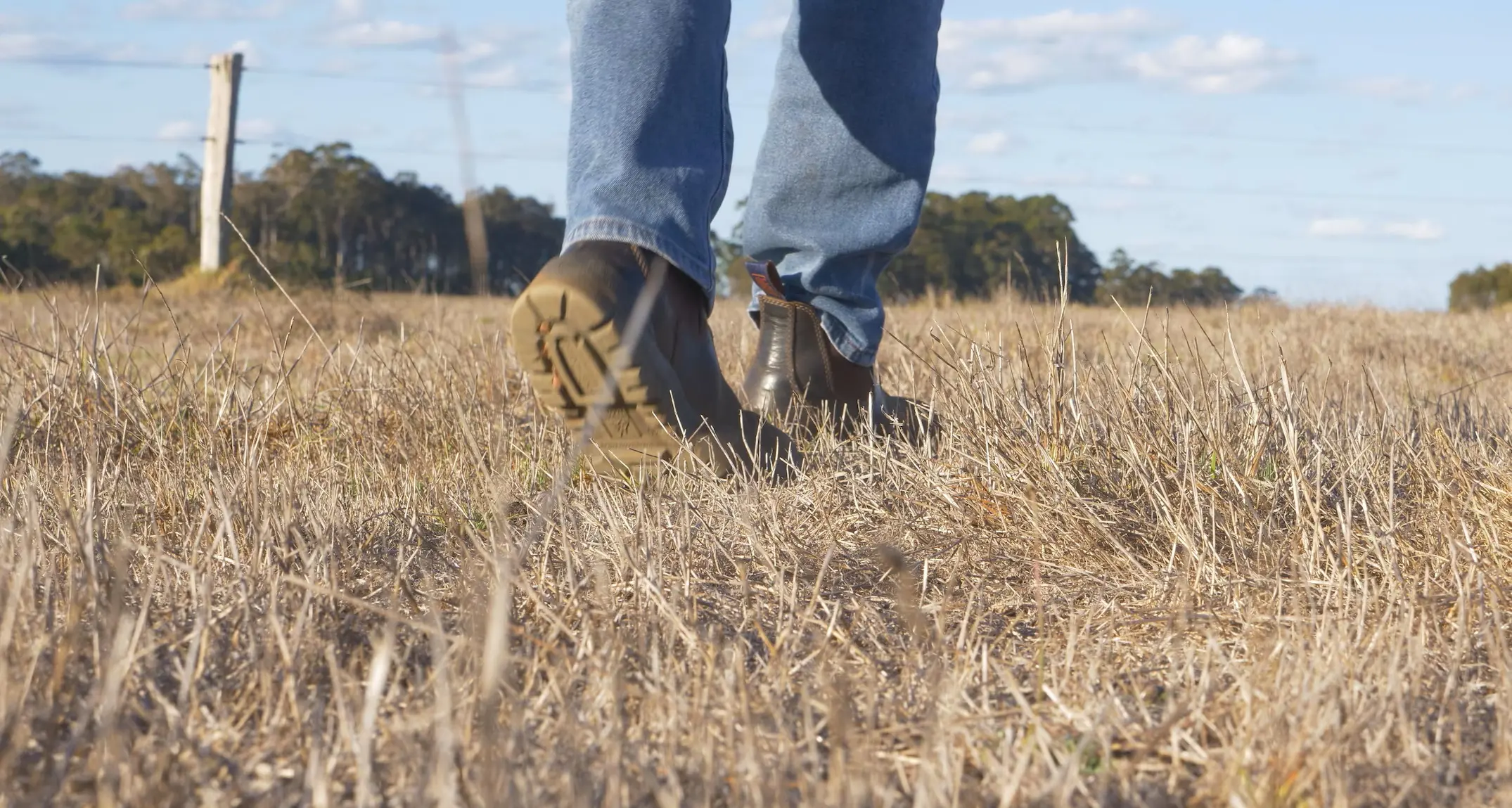 Spring outlook shows bushfire risk increases as El Niño loads the dice