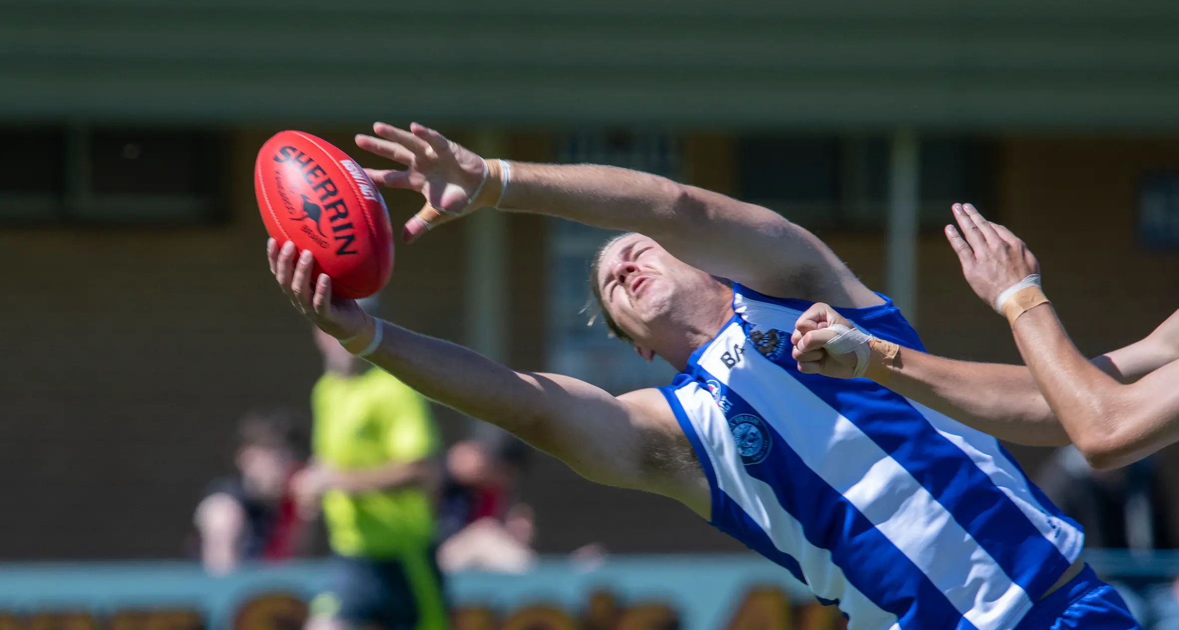 Kangaroos’ season goes on the line