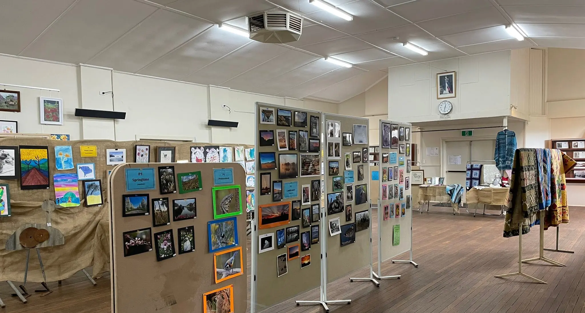 Art and photography bring splash of colour