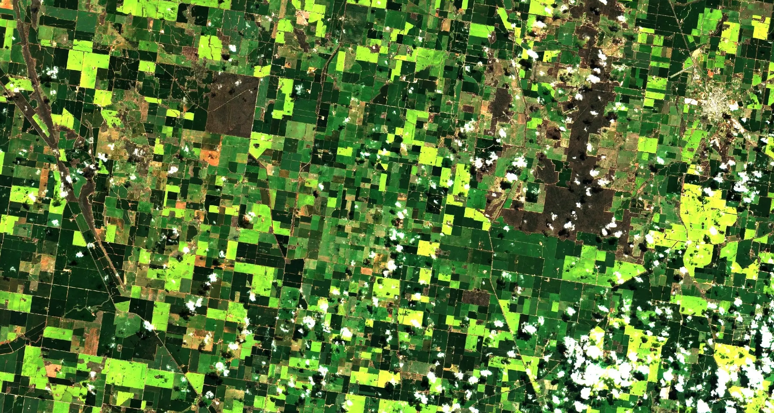Riverina’s golden paddocks seen from space