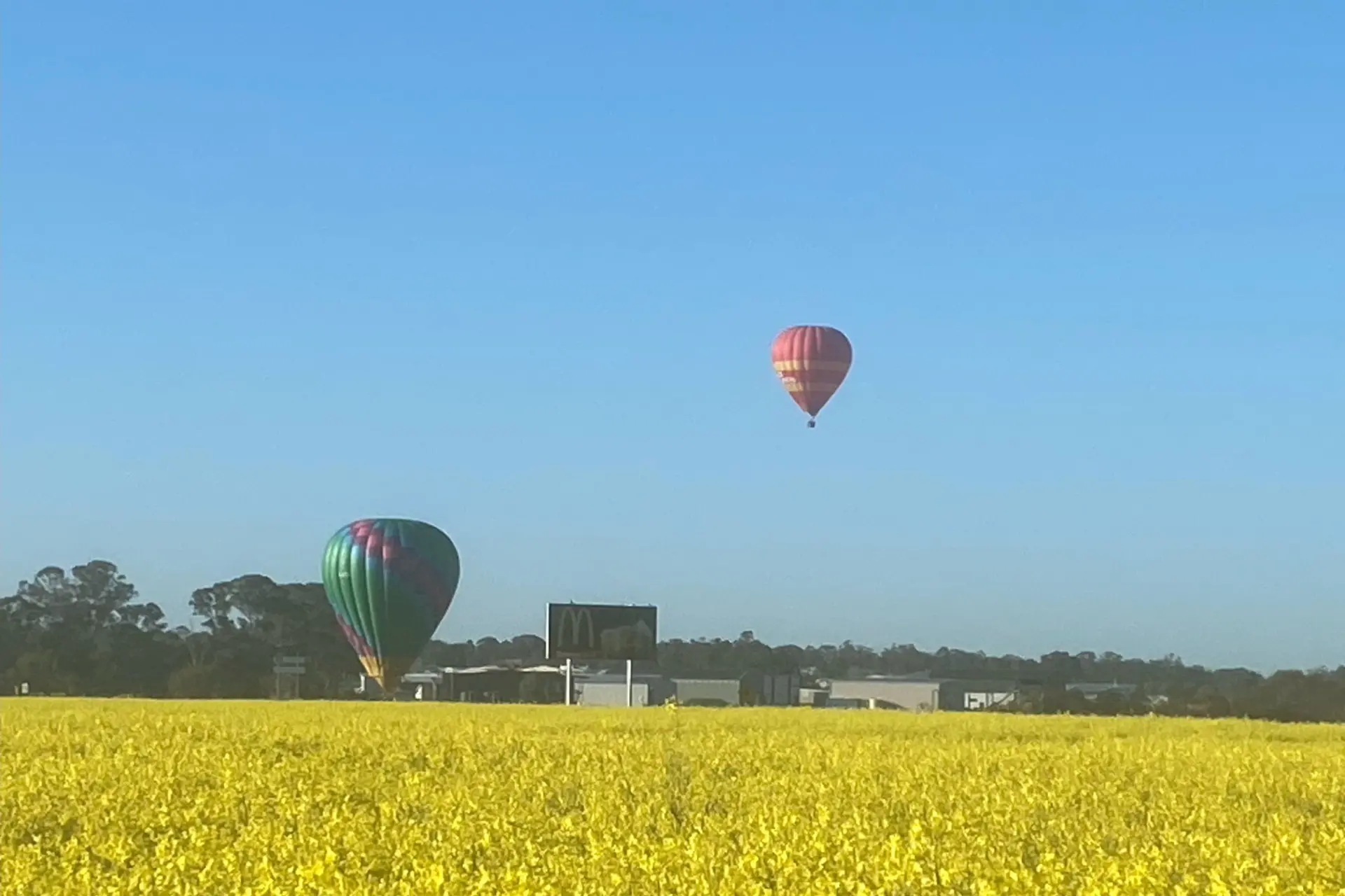<p>Many hot air balloons flew over the past few weeks to capture the distinctive yellow canola fields.</p>\\n