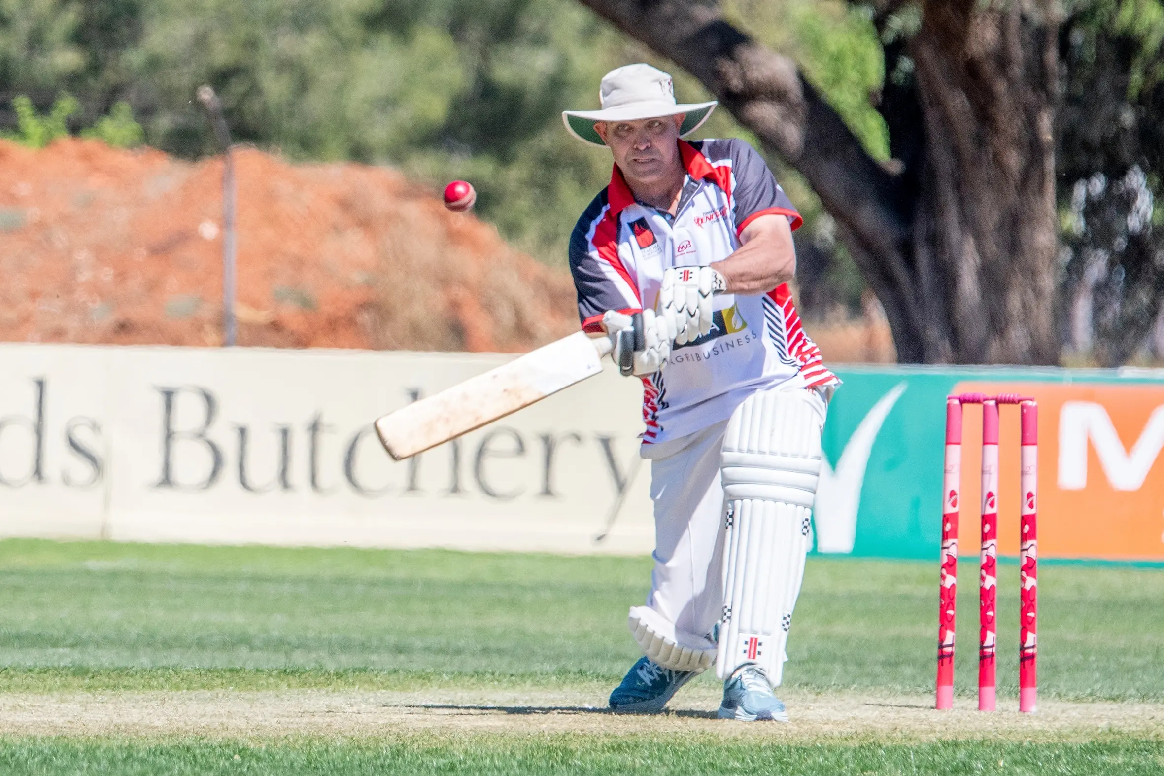 <p>One of Temora Ex-Services\\' leading Renegade cricketers, Adam Swanston, will take on last year\\'s premiers the Temora Shamrock Leprechauns. PHOTO: Noel Fisher</p>\\n