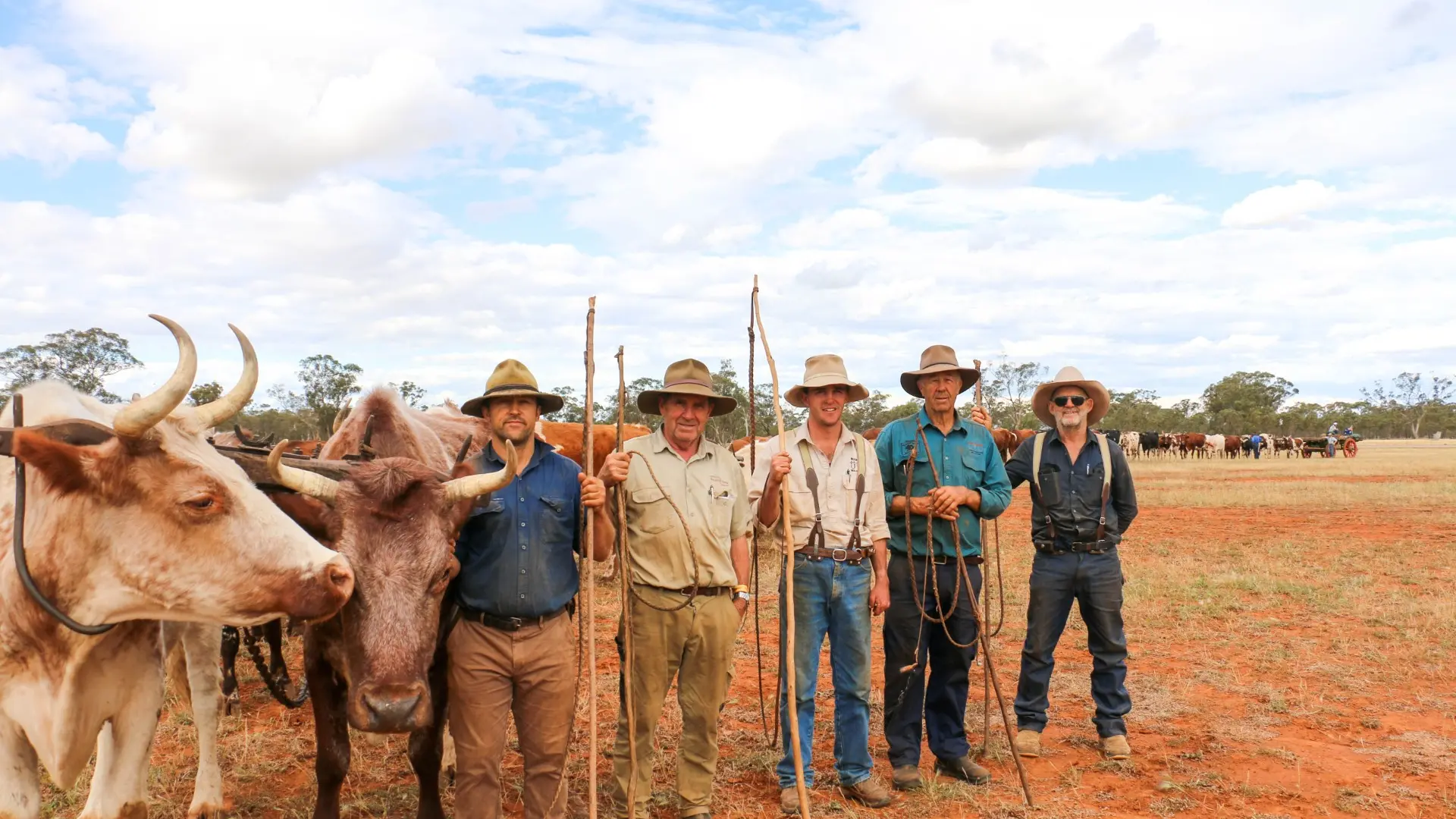 Bullock team sets Australian record