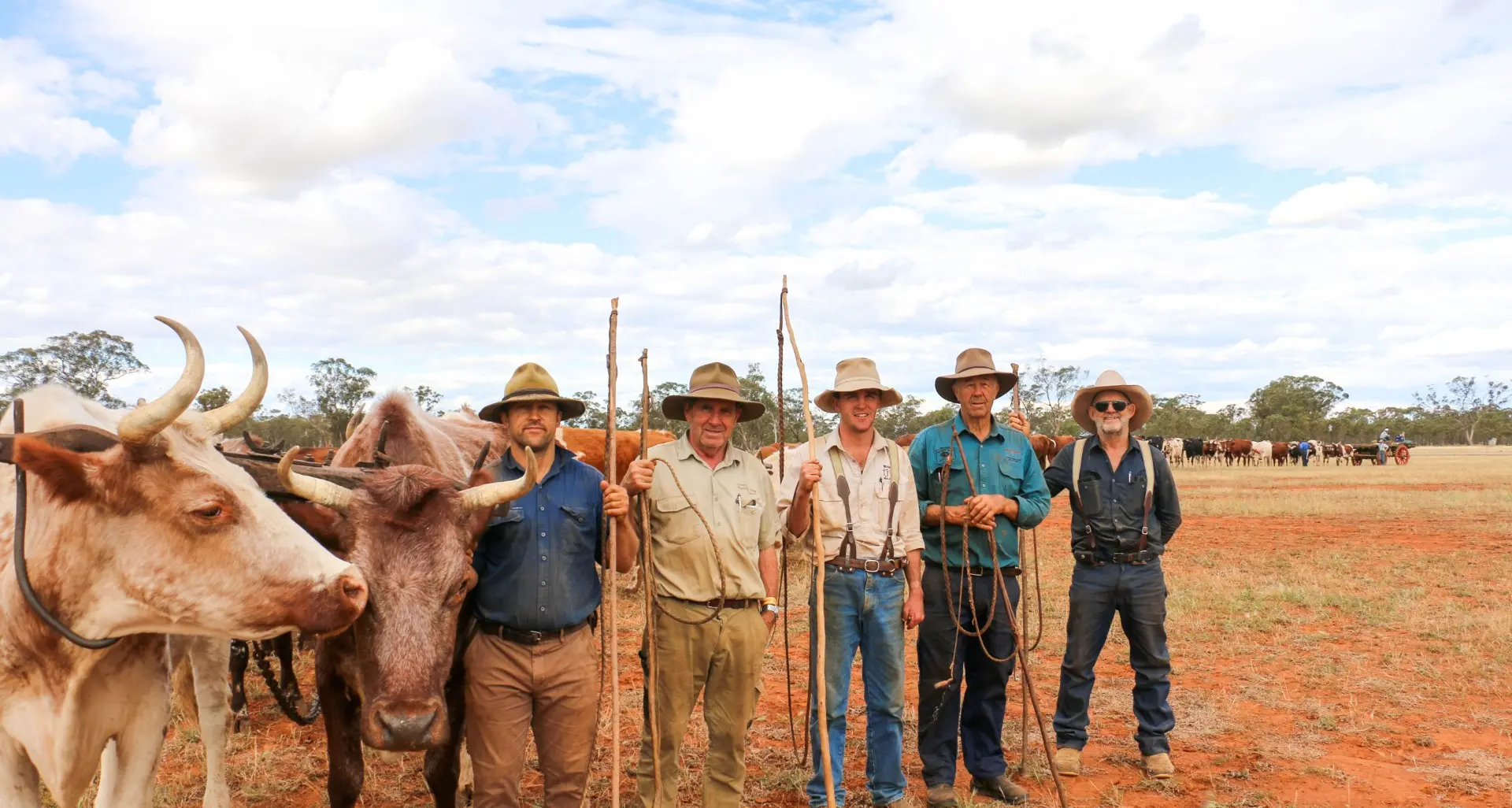 Bullock team sets Australian record