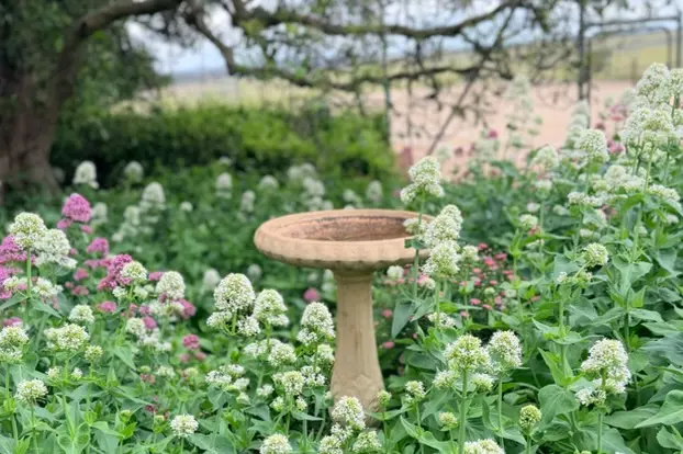 <p>Tony and Liz Grant will be one of many hosts for the Garden Viewing.</p>\\n