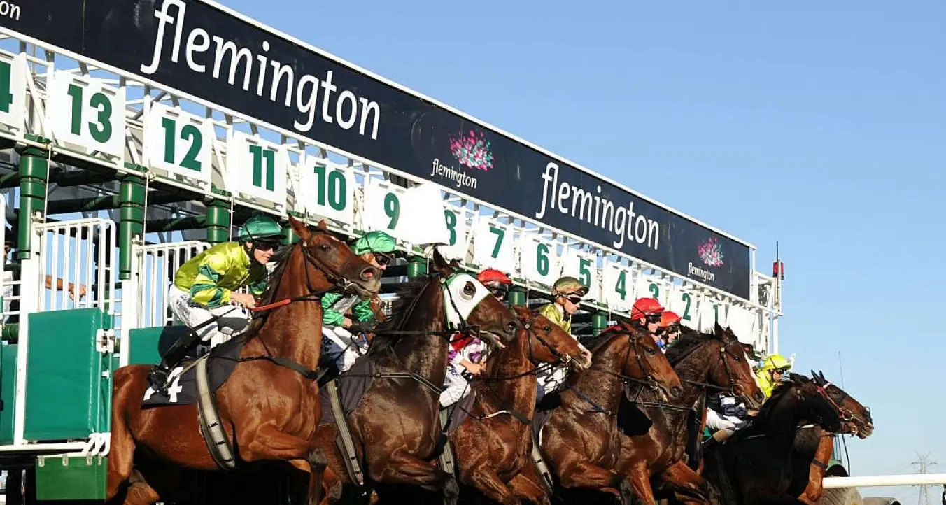 Sean's Opinion: Temora Independent Journalist - Cup fever sweeps the nation
